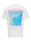 ONSKYE T-Shirt - Cloud Dancer