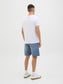 model_shot-back